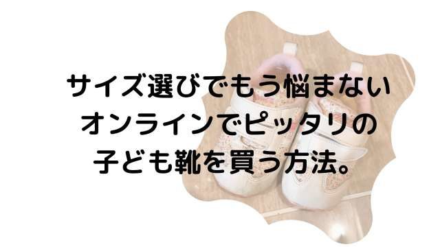 プライムワードローブ