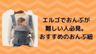 Napnapの抱っこ紐ベーシックはセカンドにぴったり 使い心地や口コミをお伝えします 港区ママのブログ